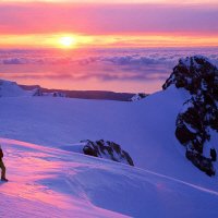 Westland National Park